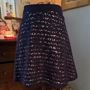 The Limited Navy Stripe Lace Overlay A-line Mini Skirt